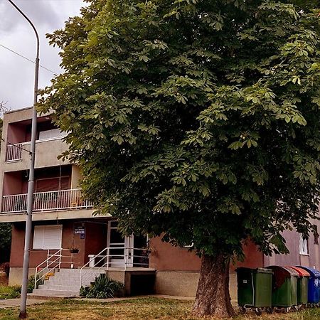 Tp Apartman 1 Križevci Eksteriør billede